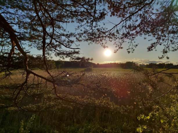 61610106_2233703070051774_5657417577551364096_n