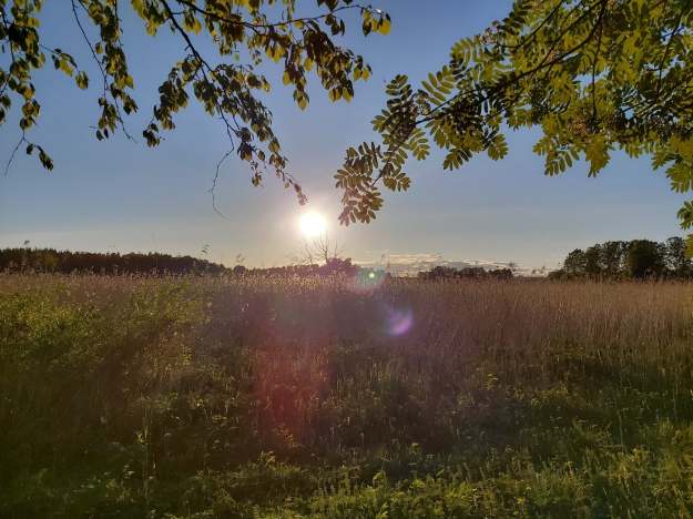 61650728_683449002095379_1951078401326448640_n